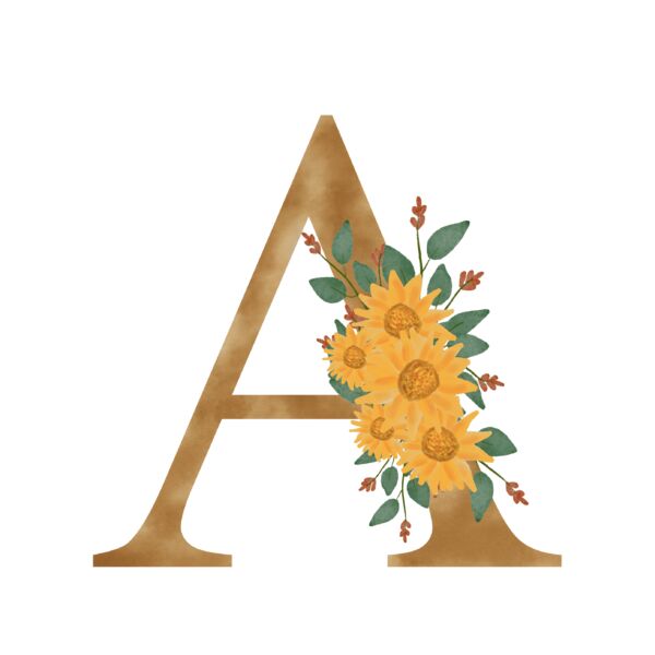 MONOGRAM 2A Miniaturansicht