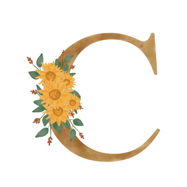 MONOGRAM 2C Miniaturansicht