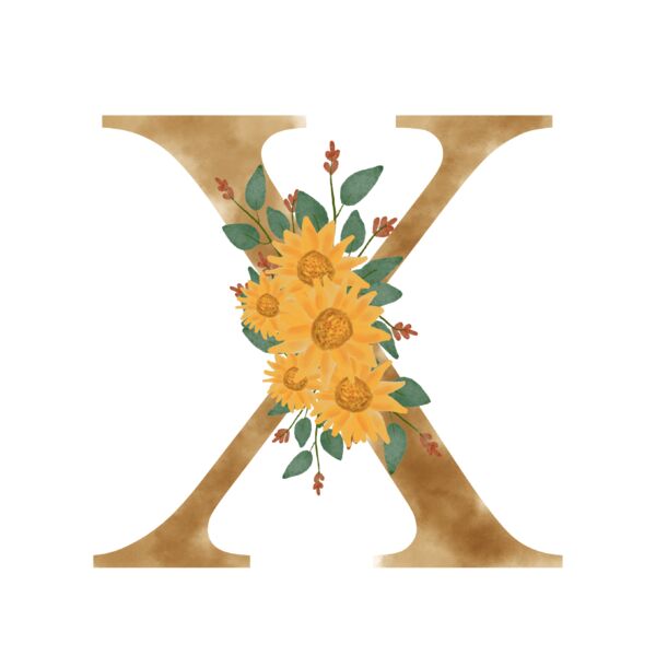 MONOGRAM 2X Miniaturansicht